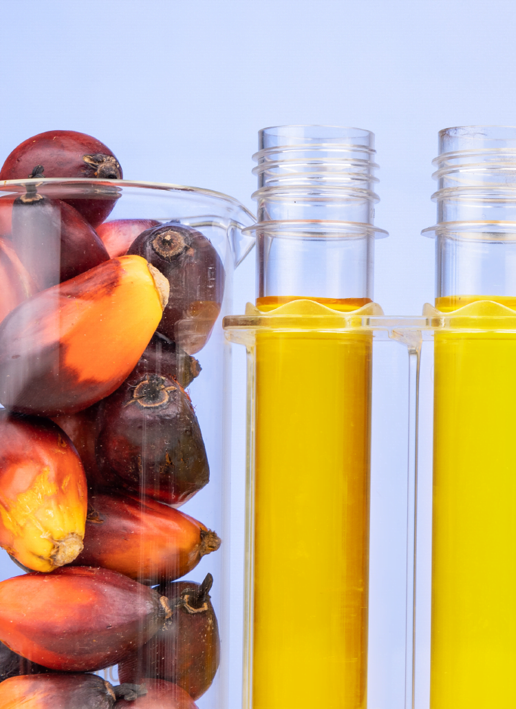 Banner Food BioD