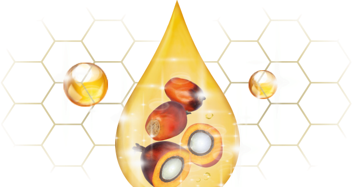 Alimentos BioD