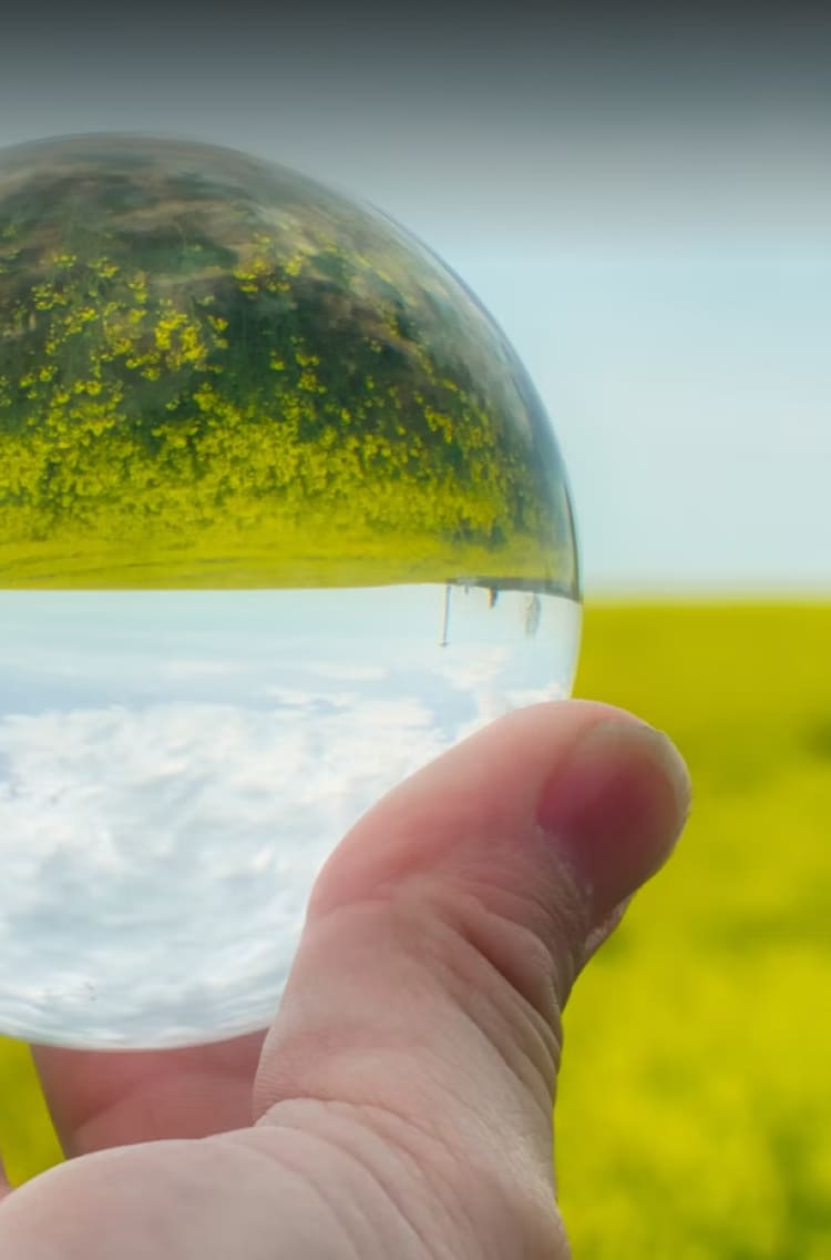 Banner Soluciones Oleoquímicas BioD