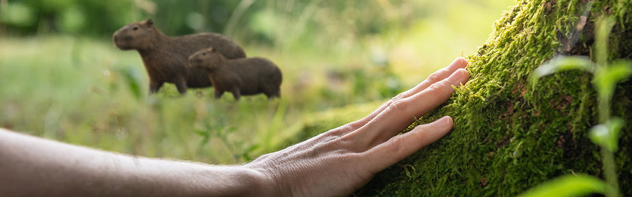 Banner Bio Environmental BioD