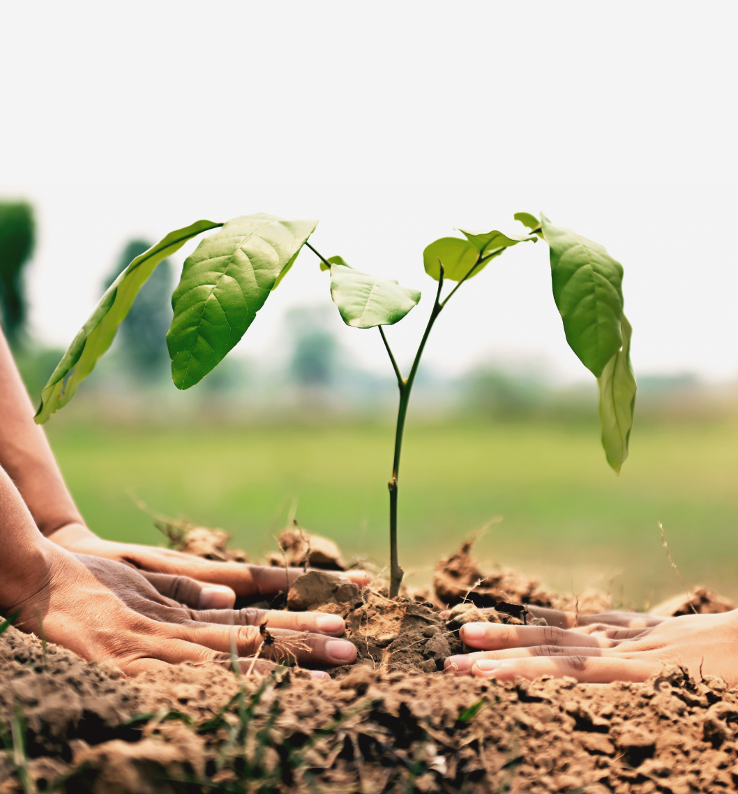 Acciones Medio Ambiente​ BioD