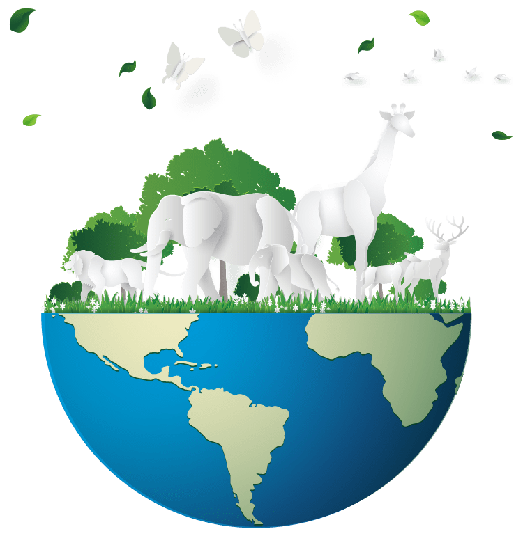 Impact on the planet BioD