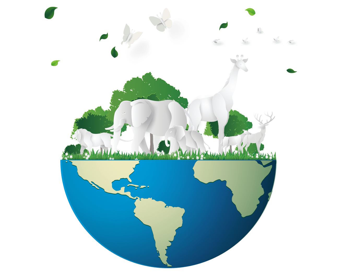 Impact on the planet BioD