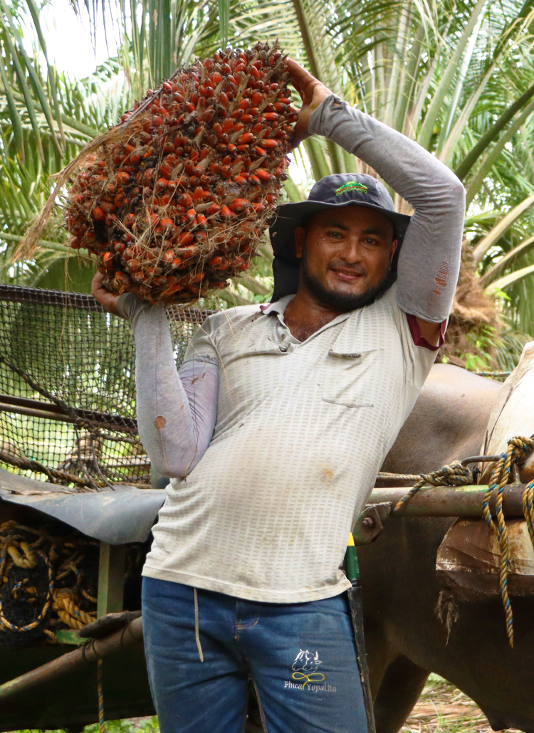 Banner Supplier Partners BioD