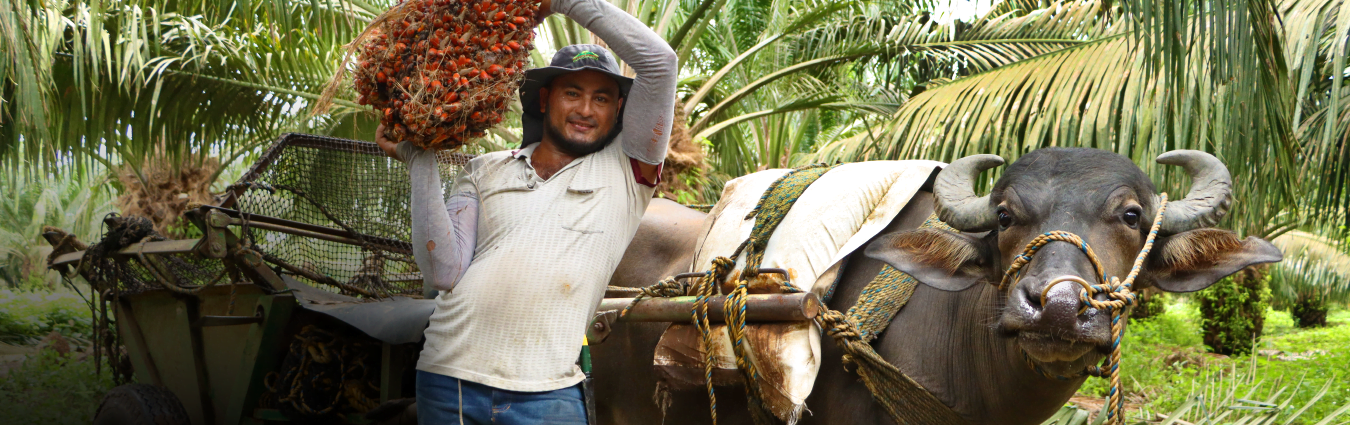 Banner Supplier Partners BioD