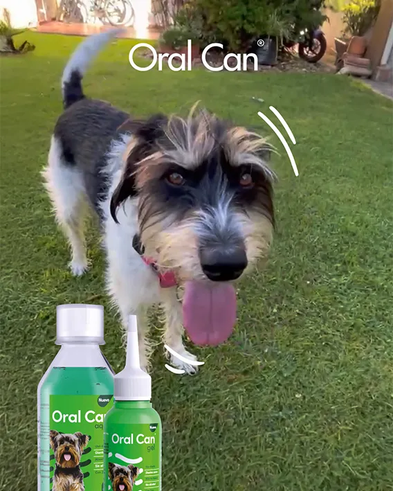 Oral Can