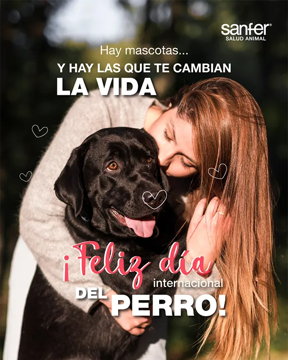 Dia Internacional del perro