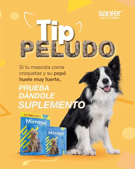 Storie de Tip Peludo - Mirrapel