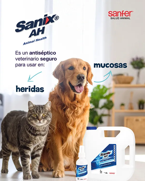 Storie Sanix AH